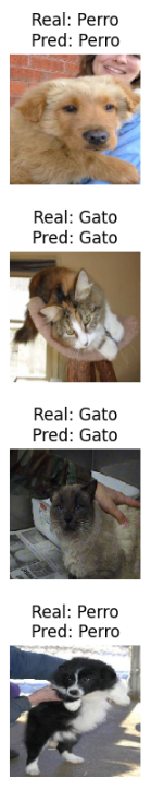 Imagen del proyecto Clasificador CNN - Perros vs Gatos